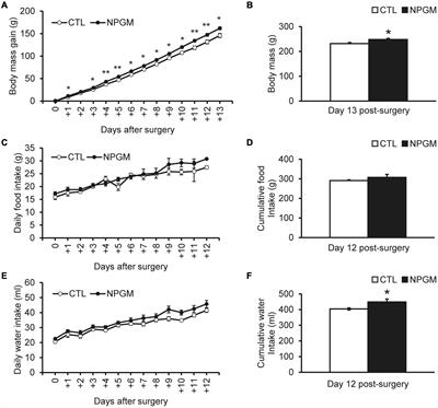 A Novel Hypothalamic Factor, Neurosecretory Protein GM, Causes Fat Deposition in Chicks